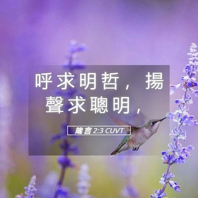 Picture 05 - 箴 言 2:3 CUVT - 呼 求 明 哲 ， 揚 聲 求 聰 明 - Bible Verse Picture