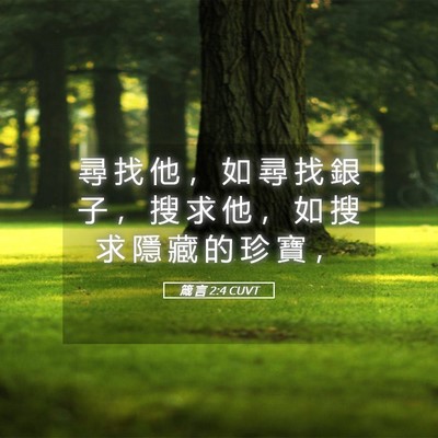 Picture 05 - 箴 言 2:4 CUVT - 尋 找 他 ， 如 尋 找 銀 子 ， 搜 求 - Bible Verse Picture