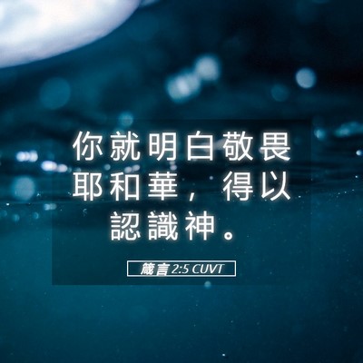 Picture 05 - 箴 言 2:5 CUVT - 你 就 明 白 敬 畏 耶 和 華 ， 得 以 - Bible Verse Picture