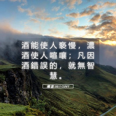 Picture 05 - 箴 言 20:1 CUVT - 酒 能 使 人 褻 慢 ， 濃 酒 使 人 喧 - Bible Verse Picture
