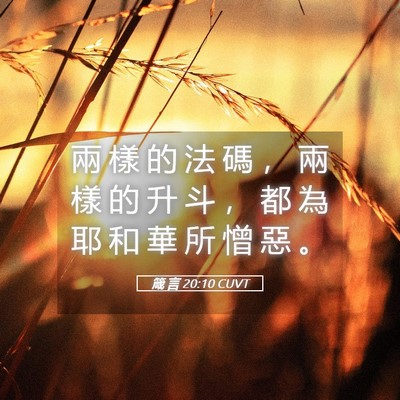 Picture 05 - 箴 言 20:10 CUVT - 兩 樣 的 法 碼 ， 兩 樣 的 升 斗 ， - Bible Verse Picture