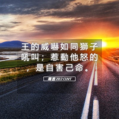 Picture 05 - 箴 言 20:2 CUVT - 王 的 威 嚇 如 同 獅 子 吼 叫 ； 惹 - Bible Verse Picture