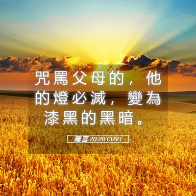 Picture 05 - 箴 言 20:20 CUVT - 咒 罵 父 母 的 ， 他 的 燈 必 滅 ， - Bible Verse Picture
