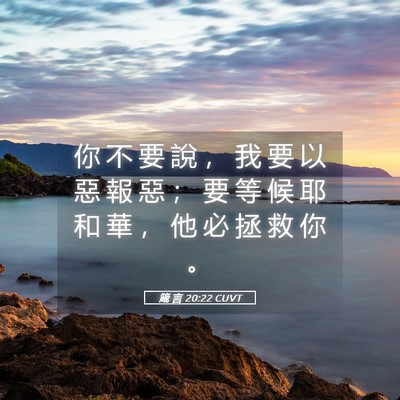 Picture 05 - 箴 言 20:22 CUVT - 你 不 要 說 ， 我 要 以 惡 報 惡 ； - Bible Verse Picture