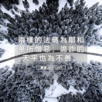 Picture 05 - 箴 言 20:23 CUVT - 兩 樣 的 法 碼 為 耶 和 華 所 憎 惡 - Bible Verse Picture