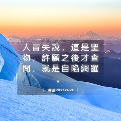 Picture 05 - 箴 言 20:25 CUVT - 人 冒 失 說 ， 這 是 聖 物 ， 許 願 - Bible Verse Picture