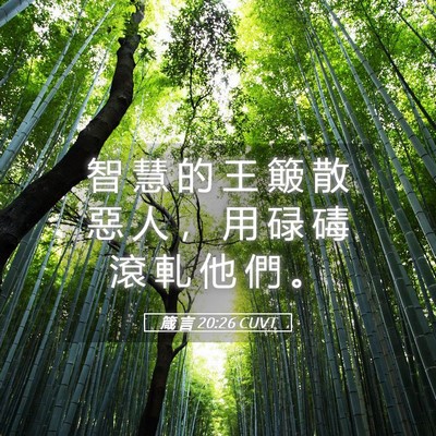 Picture 05 - 箴 言 20:26 CUVT - 智 慧 的 王 簸 散 惡 人 ， 用 碌 碡 - Bible Verse Picture