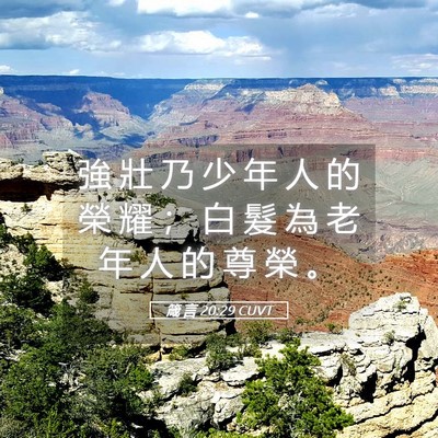 Picture 05 - 箴 言 20:29 CUVT - 強 壯 乃 少 年 人 的 榮 耀 ； 白 髮 - Bible Verse Picture