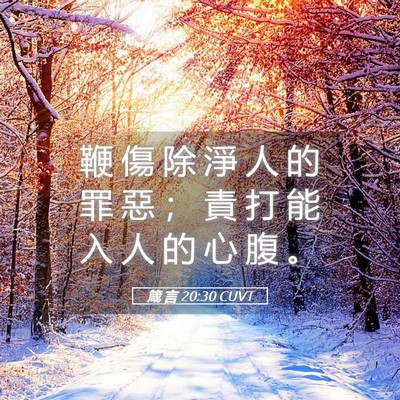Picture 05 - 箴 言 20:30 CUVT - 鞭 傷 除 淨 人 的 罪 惡 ； 責 打 能 - Bible Verse Picture