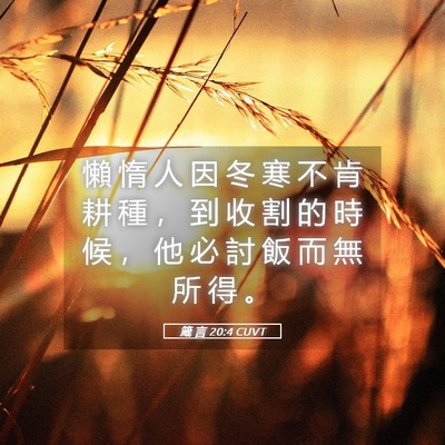 Picture 05 - 箴 言 20:4 CUVT - 懶 惰 人 因 冬 寒 不 肯 耕 種 ， 到 - Bible Verse Picture