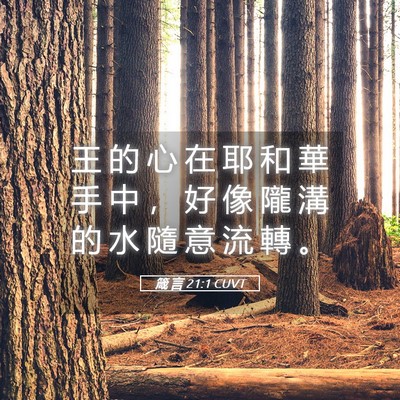 Picture 05 - 箴 言 21:1 CUVT - 王 的 心 在 耶 和 華 手 中 ， 好 像 - Bible Verse Picture