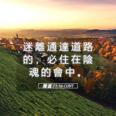 Picture 05 - 箴 言 21:16 CUVT - 迷 離 通 達 道 路 的 ， 必 住 在 陰 - Bible Verse Picture