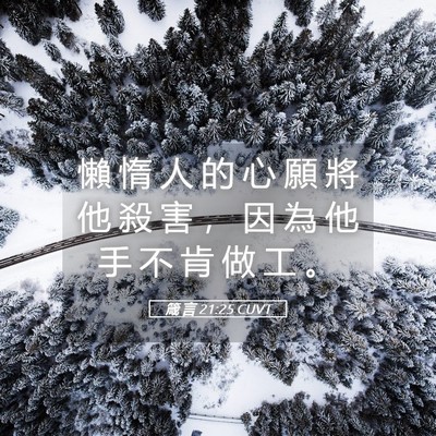 Picture 05 - 箴 言 21:25 CUVT - 懶 惰 人 的 心 願 將 他 殺 害 ， 因 - Bible Verse Picture