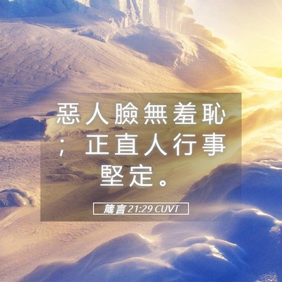 Picture 05 - 箴 言 21:29 CUVT - 惡 人 臉 無 羞 恥 ； 正 直 人 行 事 - Bible Verse Picture