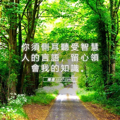 Picture 05 - 箴 言 22:17 CUVT - 你 須 側 耳 聽 受 智 慧 人 的 言 語 - Bible Verse Picture
