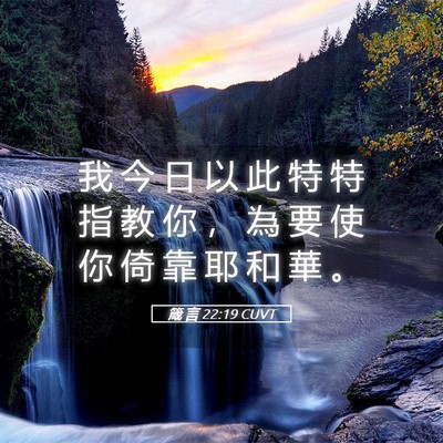 Picture 05 - 箴 言 22:19 CUVT - 我 今 日 以 此 特 特 指 教 你 ， 為 - Bible Verse Picture