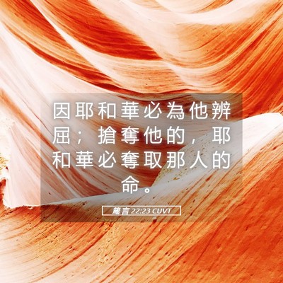 Picture 05 - 箴 言 22:23 CUVT - 因 耶 和 華 必 為 他 辨 屈 ； 搶 奪 - Bible Verse Picture