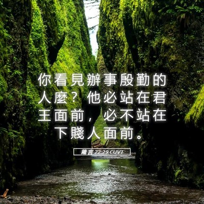 Picture 05 - 箴 言 22:29 CUVT - 你 看 見 辦 事 殷 勤 的 人 麼 ？ 他 - Bible Verse Picture