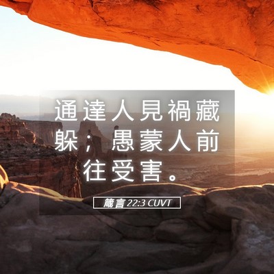 Picture 05 - 箴 言 22:3 CUVT - 通 達 人 見 禍 藏 躲 ； 愚 蒙 人 前 - Bible Verse Picture