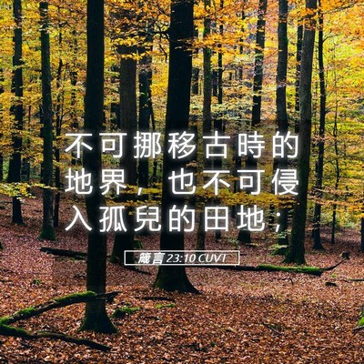 Picture 05 - 箴 言 23:10 CUVT - 不 可 挪 移 古 時 的 地 界 ， 也 不 - Bible Verse Picture
