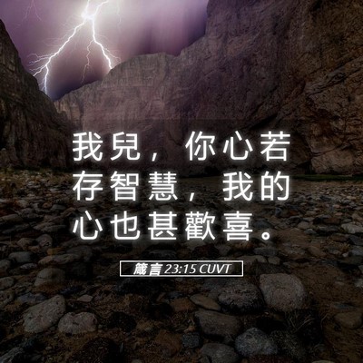 Picture 05 - 箴 言 23:15 CUVT - 我 兒 ， 你 心 若 存 智 慧 ， 我 的 - Bible Verse Picture