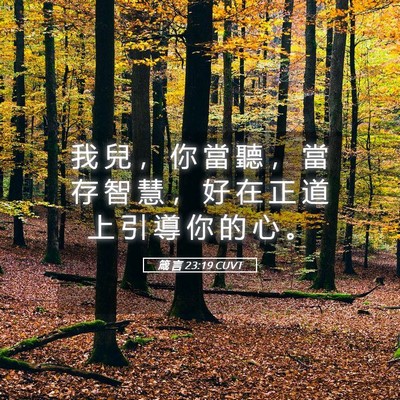 Picture 05 - 箴 言 23:19 CUVT - 我 兒 ， 你 當 聽 ， 當 存 智 慧 ， - Bible Verse Picture
