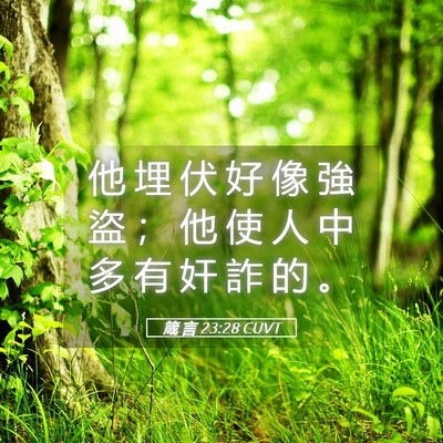 Picture 05 - 箴 言 23:28 CUVT - 他 埋 伏 好 像 強 盜 ； 他 使 人 中 - Bible Verse Picture