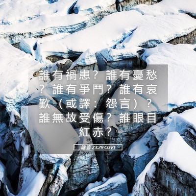 Picture 05 - 箴 言 23:29 CUVT - 誰 有 禍 患 ？ 誰 有 憂 愁 ？ 誰 有 - Bible Verse Picture