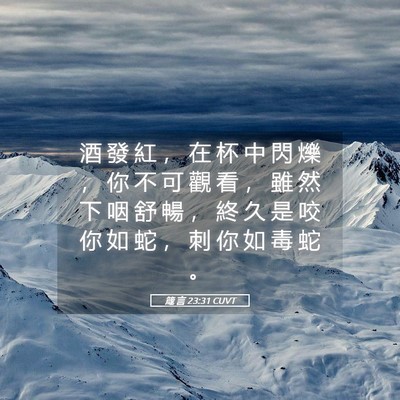 Picture 05 - 箴 言 23:31 CUVT - 酒 發 紅 ， 在 杯 中 閃 爍 ， 你 不 - Bible Verse Picture