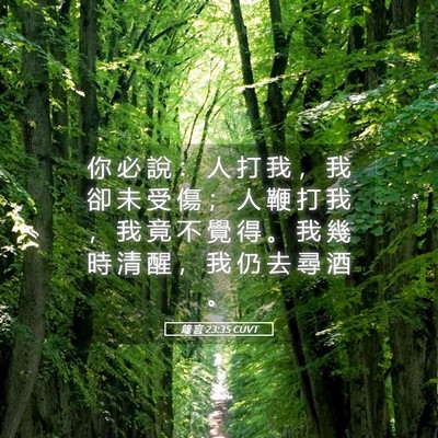 Picture 05 - 箴 言 23:35 CUVT - 你 必 說 ： 人 打 我 ， 我 卻 未 受 - Bible Verse Picture