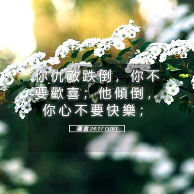 Picture 05 - 箴 言 24:17 CUVT - 你 仇 敵 跌 倒 ， 你 不 要 歡 喜 ； - Bible Verse Picture