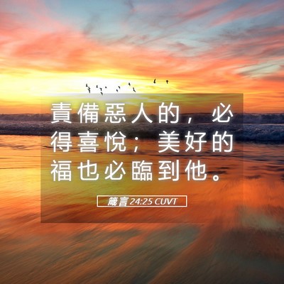 Picture 05 - 箴 言 24:25 CUVT - 責 備 惡 人 的 ， 必 得 喜 悅 ； 美 - Bible Verse Picture
