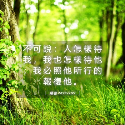 Picture 05 - 箴 言 24:29 CUVT - 不 可 說 ： 人 怎 樣 待 我 ， 我 也 - Bible Verse Picture