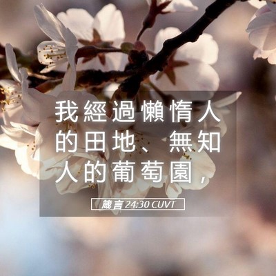 Picture 05 - 箴 言 24:30 CUVT - 我 經 過 懶 惰 人 的 田 地 、 無 知 - Bible Verse Picture