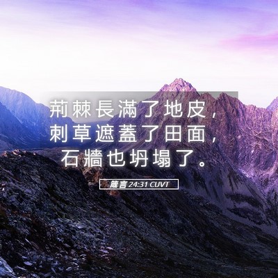 Picture 05 - 箴 言 24:31 CUVT - 荊 棘 長 滿 了 地 皮 ， 刺 草 遮 蓋 - Bible Verse Picture