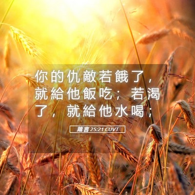 Picture 05 - 箴 言 25:21 CUVT - 你 的 仇 敵 若 餓 了 ， 就 給 他 飯 - Bible Verse Picture