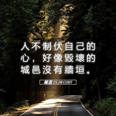 Picture 05 - 箴 言 25:28 CUVT - 人 不 制 伏 自 己 的 心 ， 好 像 毀 - Bible Verse Picture