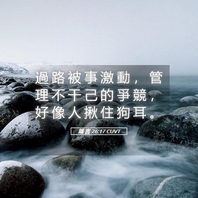 Picture 05 - 箴 言 26:17 CUVT - 過 路 被 事 激 動 ， 管 理 不 干 己 - Bible Verse Picture