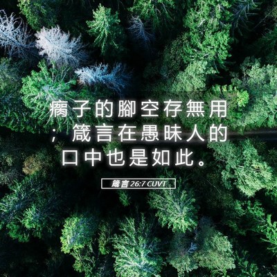 Picture 05 - 箴 言 26:7 CUVT - 瘸 子 的 腳 空 存 無 用 ； 箴 言 在 - Bible Verse Picture