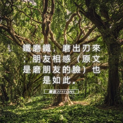 Picture 05 - 箴 言 27:17 CUVT - 鐵 磨 鐵 ， 磨 出 刃 來 ； 朋 友 相 - Bible Verse Picture
