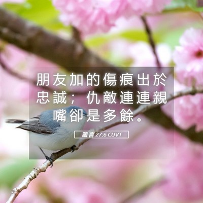 Picture 05 - 箴 言 27:6 CUVT - 朋 友 加 的 傷 痕 出 於 忠 誠 ； 仇 - Bible Verse Picture