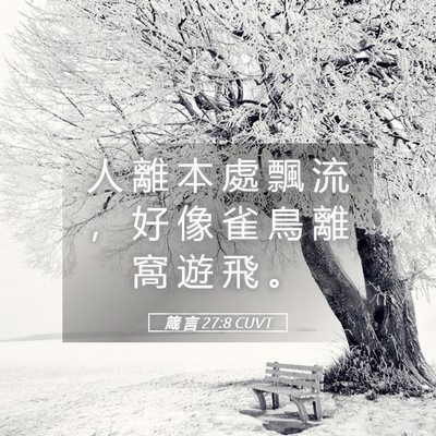 Picture 05 - 箴 言 27:8 CUVT - 人 離 本 處 飄 流 ， 好 像 雀 鳥 離 - Bible Verse Picture