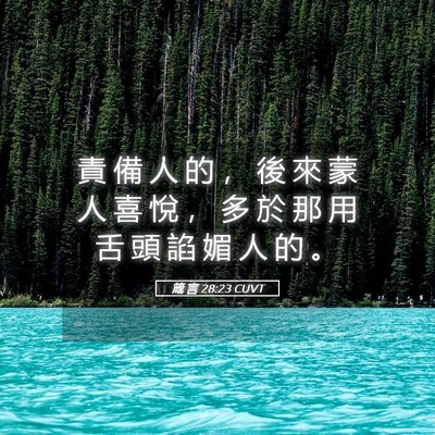 Picture 05 - 箴 言 28:23 CUVT - 責 備 人 的 ， 後 來 蒙 人 喜 悅 ， - Bible Verse Picture