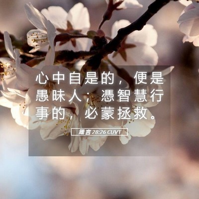 Picture 05 - 箴 言 28:26 CUVT - 心 中 自 是 的 ， 便 是 愚 昧 人 ； - Bible Verse Picture