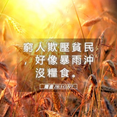 Picture 05 - 箴 言 28:3 CUVT - 窮 人 欺 壓 貧 民 ， 好 像 暴 雨 沖 - Bible Verse Picture