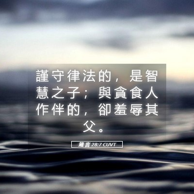 Picture 05 - 箴 言 28:7 CUVT - 謹 守 律 法 的 ， 是 智 慧 之 子 ； - Bible Verse Picture