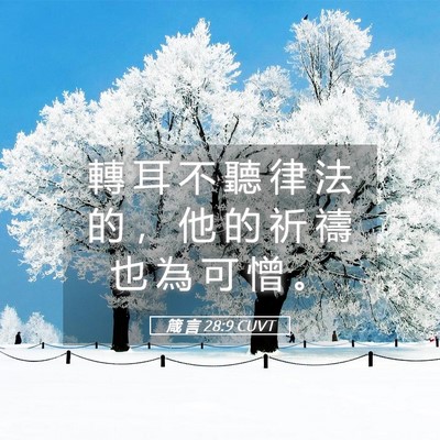 Picture 05 - 箴 言 28:9 CUVT - 轉 耳 不 聽 律 法 的 ， 他 的 祈 禱 - Bible Verse Picture