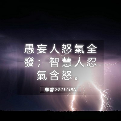 Picture 05 - 箴 言 29:11 CUVT - 愚 妄 人 怒 氣 全 發 ； 智 慧 人 忍 - Bible Verse Picture