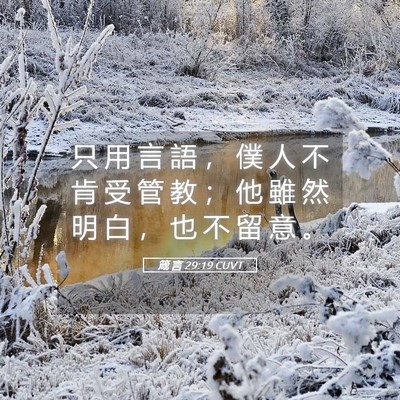 Picture 05 - 箴 言 29:19 CUVT - 只 用 言 語 ， 僕 人 不 肯 受 管 教 - Bible Verse Picture