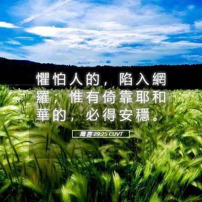 Picture 05 - 箴 言 29:25 CUVT - 懼 怕 人 的 ， 陷 入 網 羅 ； 惟 有 - Bible Verse Picture